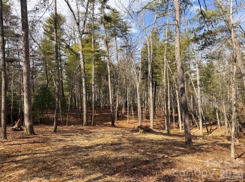 24-0 Cedar Hill Dr, Asheville, NC, 28803 | Card Image