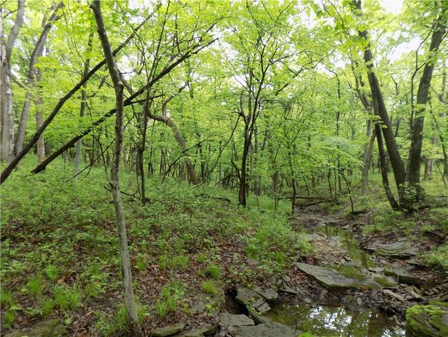 1267 Rock Creek Rd, Home with 0 bedrooms, 0 bathrooms and null parking in Williamsburg KS | Image 11