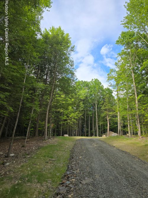 Tbd Avery Hand Lane, New Lebanon, NY, 12125 | Card Image