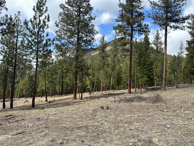 31760 Old Highway 10 W, Home with 0 bedrooms, 0 bathrooms and null parking in Alberton MT | Image 20