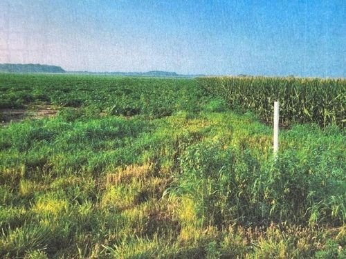950 South, Galveston, IN, 46932 | Card Image