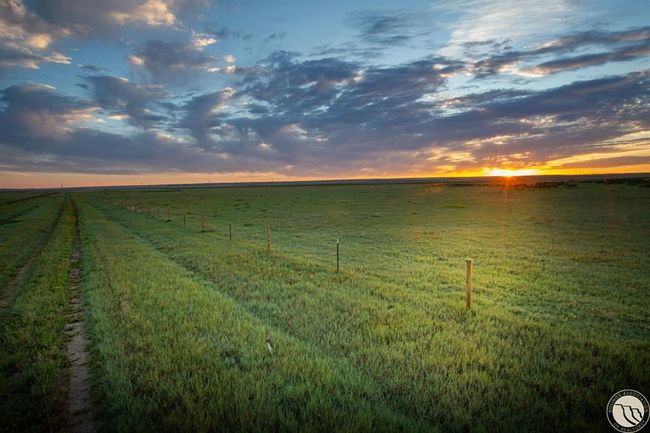 00 David Rd, Home with 0 bedrooms, 0 bathrooms and null parking in Broadview MT | Image 34