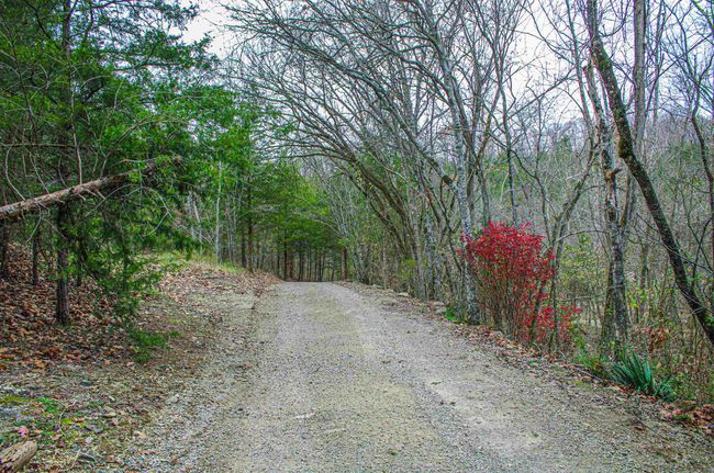 35 Marion County 6023, House other with 4 bedrooms, 3 bathrooms and null parking in Yellville AR | Image 40