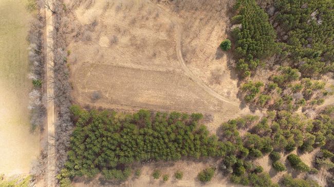 DJI_0346.jpg | Image 28