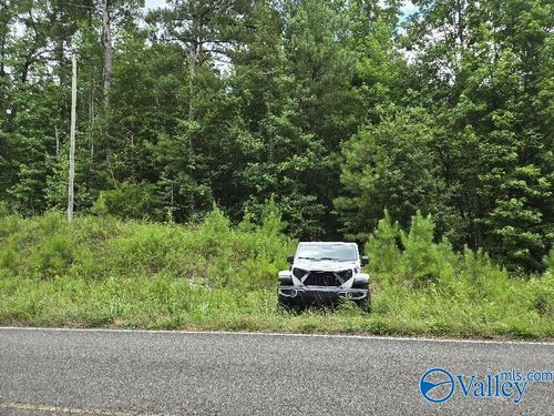 36 Acres Clairmont Springs Rd, Lineville, AL, 36266 | Card Image