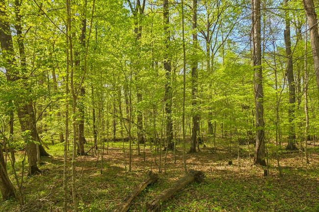 00 Cohutta Beaverdale Rd, Home with 0 bedrooms, 0 bathrooms and null parking in Cohutta GA | Image 12