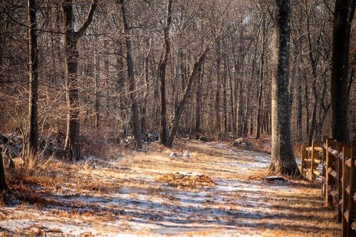 0 Belcher, Essex, MA, 01929 | Card Image