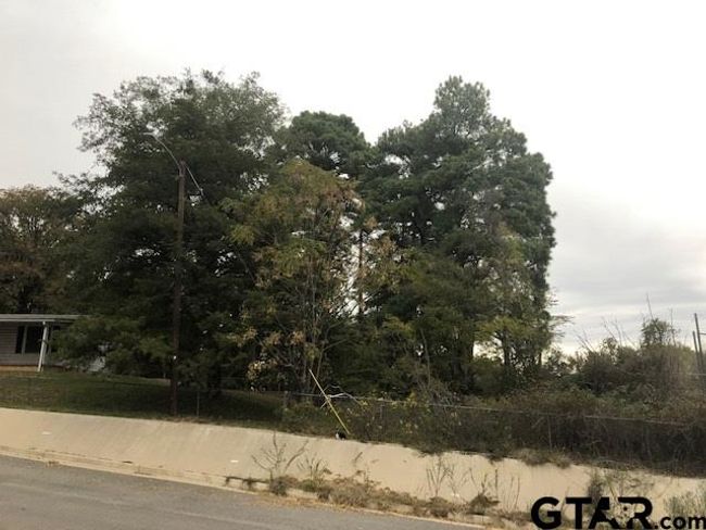 3819 Old Chandler Rd, Home with 0 bedrooms, 0 bathrooms and null parking in Tyler TX | Image 20