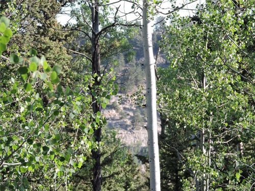 170 Buckskin Ct, Como, CO, 80456 | Card Image