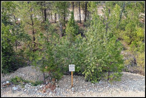 Lot 58 Mores Creek Dr, Idaho City, ID, 83631 | Card Image