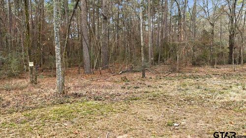 12174 County Road 3153 S, Mount Enterprise, TX, 75681 | Card Image