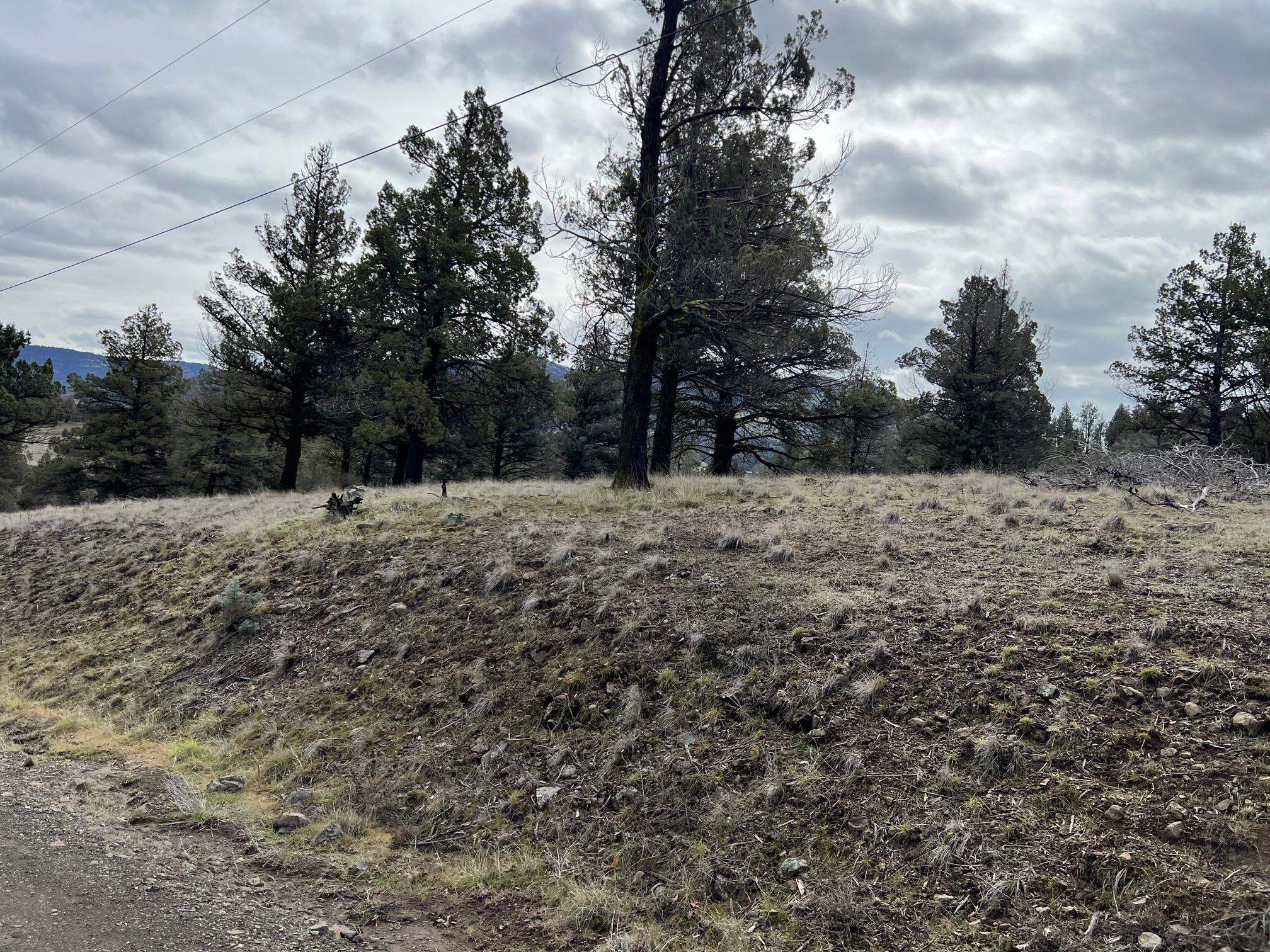 Land in Montague 4