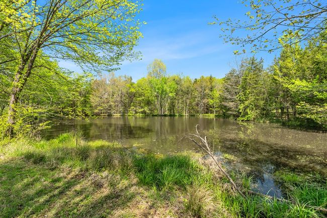 300 Poorhouse Rd, House other with 4 bedrooms, 2 bathrooms and null parking in RICE VA | Image 44