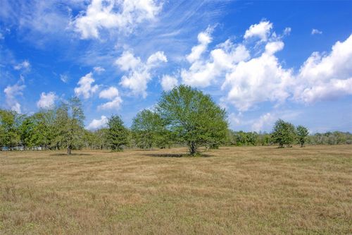 Lot 12 County Road 229, Bedias, TX, 77831 | Card Image