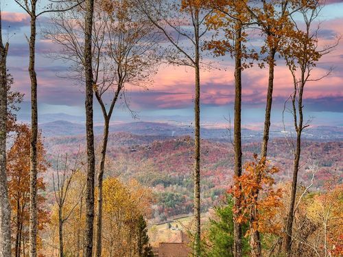 1447 Grandeur Dr, Blue Ridge, GA, 30513-5670 | Card Image