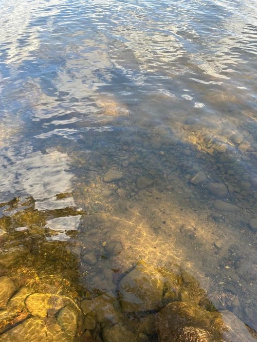 36599 Dove, Aitkin, MN, 56431 | Card Image