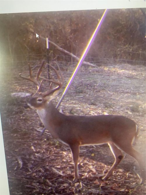 0 Prairie Rd, Jewett, TX, 75846 | Card Image