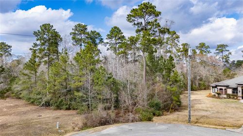 0 Palmer Oaks Dr, Huffman, TX, 77336 | Card Image
