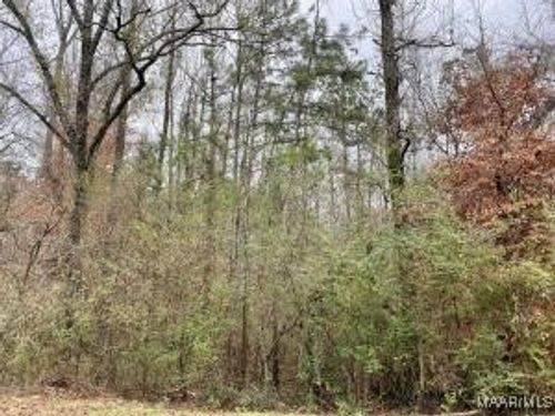 Lot 43 Althea Loop, Alexander City, AL, 35010 | Card Image