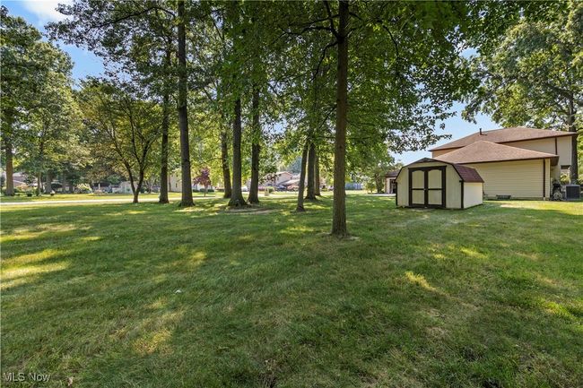 View of grassy yard with a storage shed | Image 38