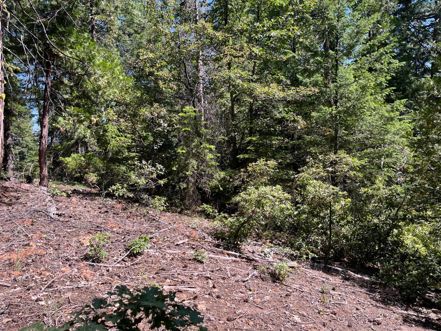 Land in Strawberry Valley 5