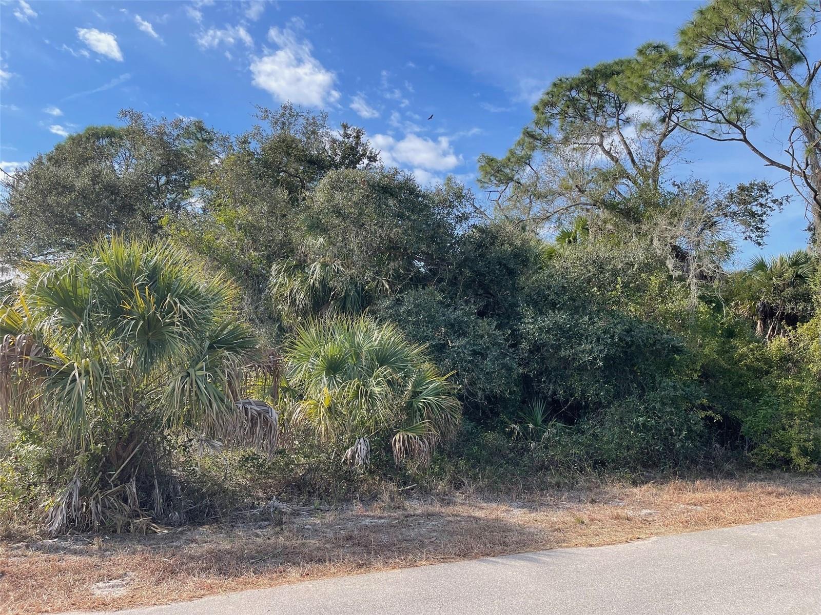 Land in NORTH PORT