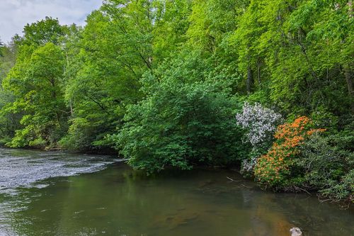 Lot 171 Shenendoa Drive, Ellijay, GA, 30540 | Card Image