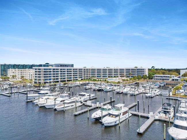 Water View | Image 4