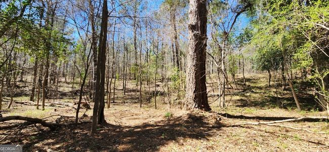 5757 Jeffersonville Rd, Home with 0 bedrooms, 0 bathrooms and null parking in Dry Branch GA | Image 16