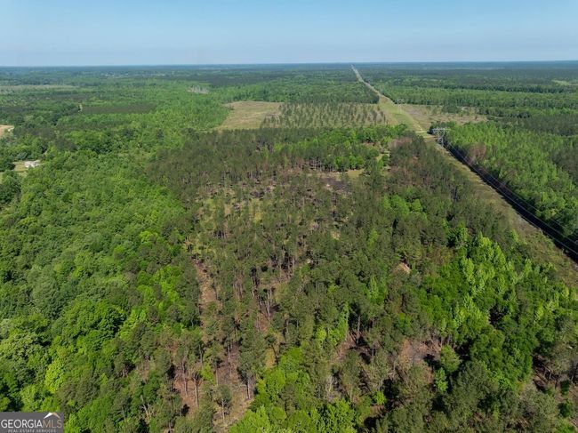 6053 Sun Hill Grange Rd, Home with 0 bedrooms, 0 bathrooms and null parking in Davisboro GA | Image 129