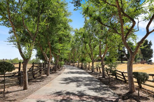 22050 E Buena Vista Road, Clements, CA, 95227 | Card Image