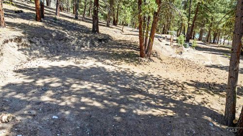 4395 N Pine Featherville Rd, Featherville, ID, 83647-5390 | Card Image