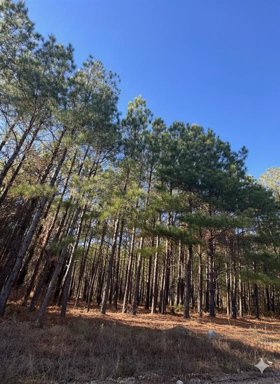 Land in Broken Bow 3