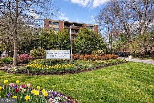 apt-203-8308 Flower Ave, TAKOMA PARK, MD, 20912-6754 | Card Image