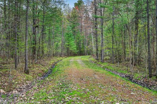 0 E Pinecrest Drive, Gladwin, MI, 48624 | Card Image