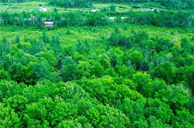 N8281 State Highway 27, House other with 3 bedrooms, 2 bathrooms and null parking in Ladysmith WI | Image 40