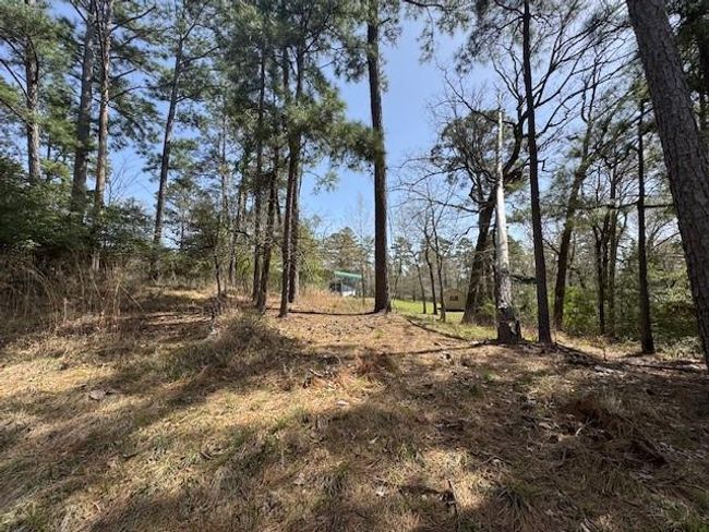312 Waterview Dr, Home with 0 bedrooms, 0 bathrooms and null parking in Trinity TX | Image 8