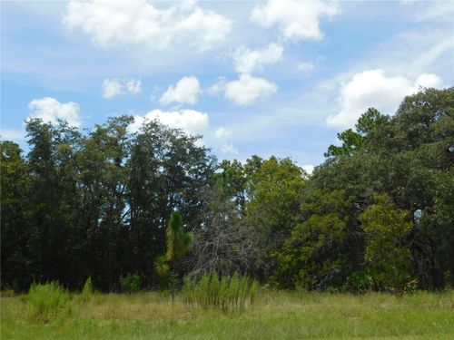 6681 N Bedstrow Blvd, DUNNELLON, FL, 34434-7907 | Card Image