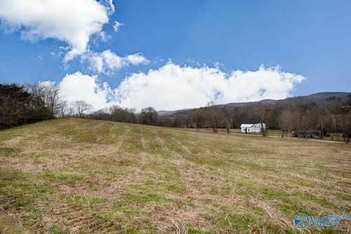 10.8 A Briar Patch Rd, Prospect, TN, 38477 | Card Image