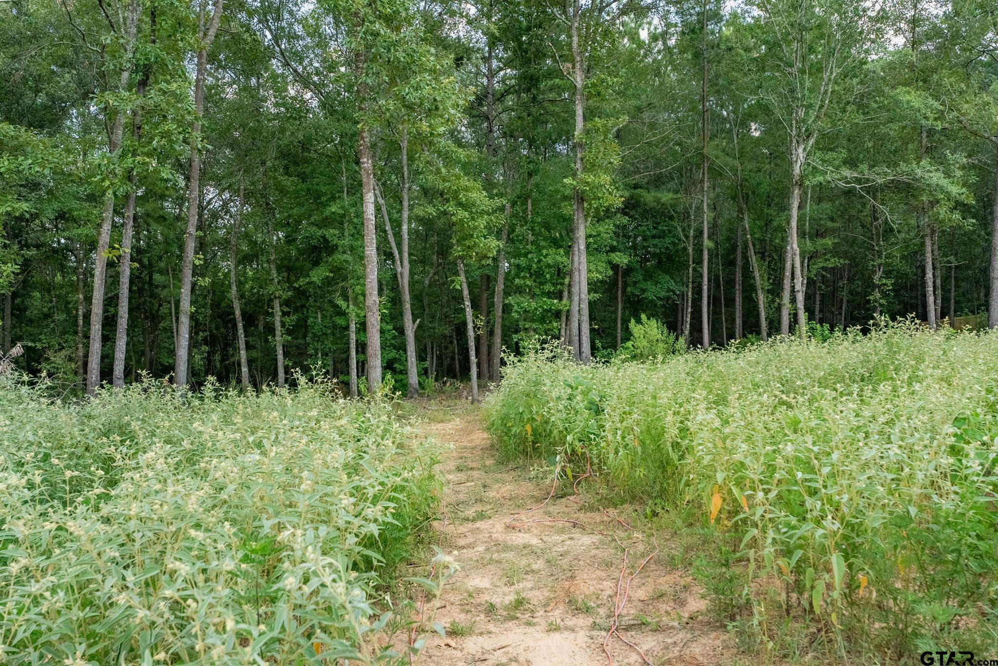 Land in Tyler 2