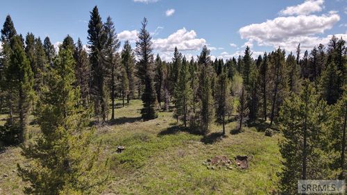 2822 Ne Sagehen Dr, Island Park, ID, 83429 | Card Image