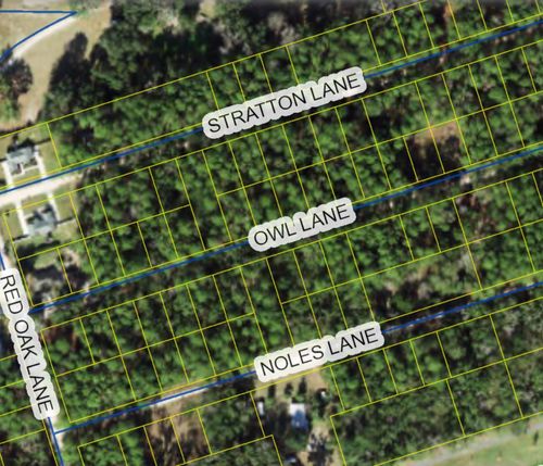XX Owl Ln, CRAWFORDVILLE, FL, 32327 | Card Image