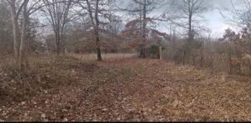 TBD County Road 2241, Hartman, AR, 72840 | Card Image