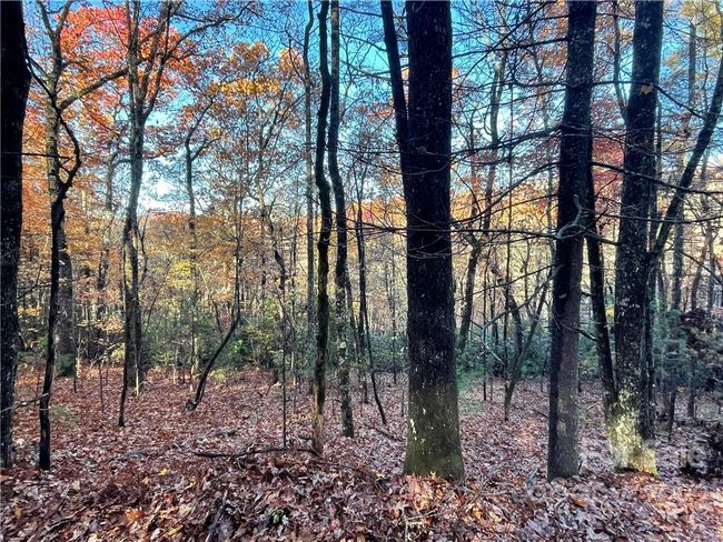 4 - 9999 Sassafras Ln, Home with 0 bedrooms, 0 bathrooms and null parking in Cedar Mountain NC | Image 5