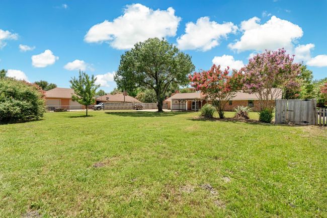 Back yard | Image 25
