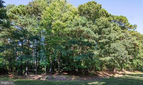 Lot 120 Raider Ct, GREENBACKVILLE, VA, 23356 | Card Image