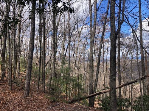 Lot 21 Bobcat Mountain Rd, Purlear, NC, 28665 | Card Image