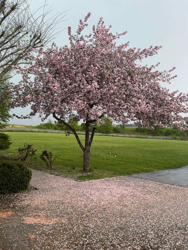 3578 State Road 39, House other with 3 bedrooms, 3 bathrooms and null parking in Mineral Point WI | Image 11
