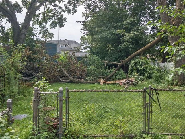 Back Yard | Image 17