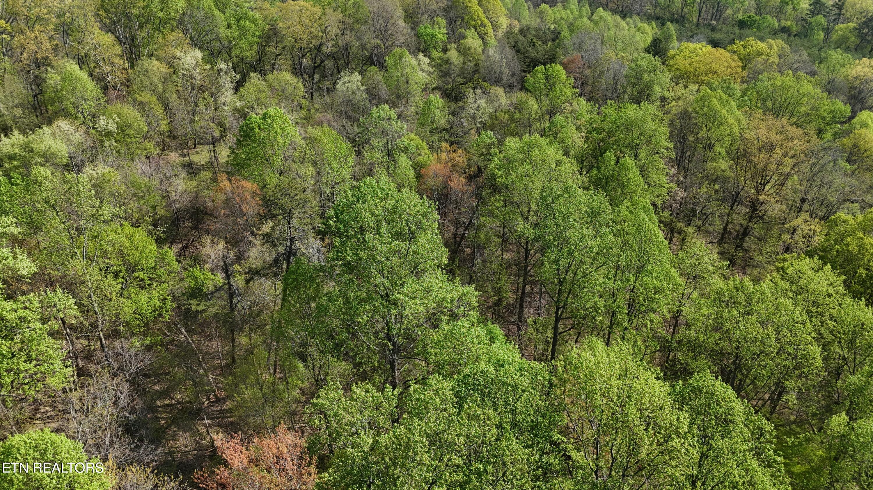 Land in Athens